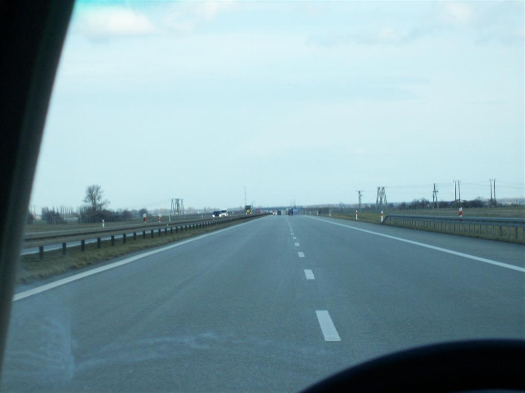 Picture 162 (Large)
