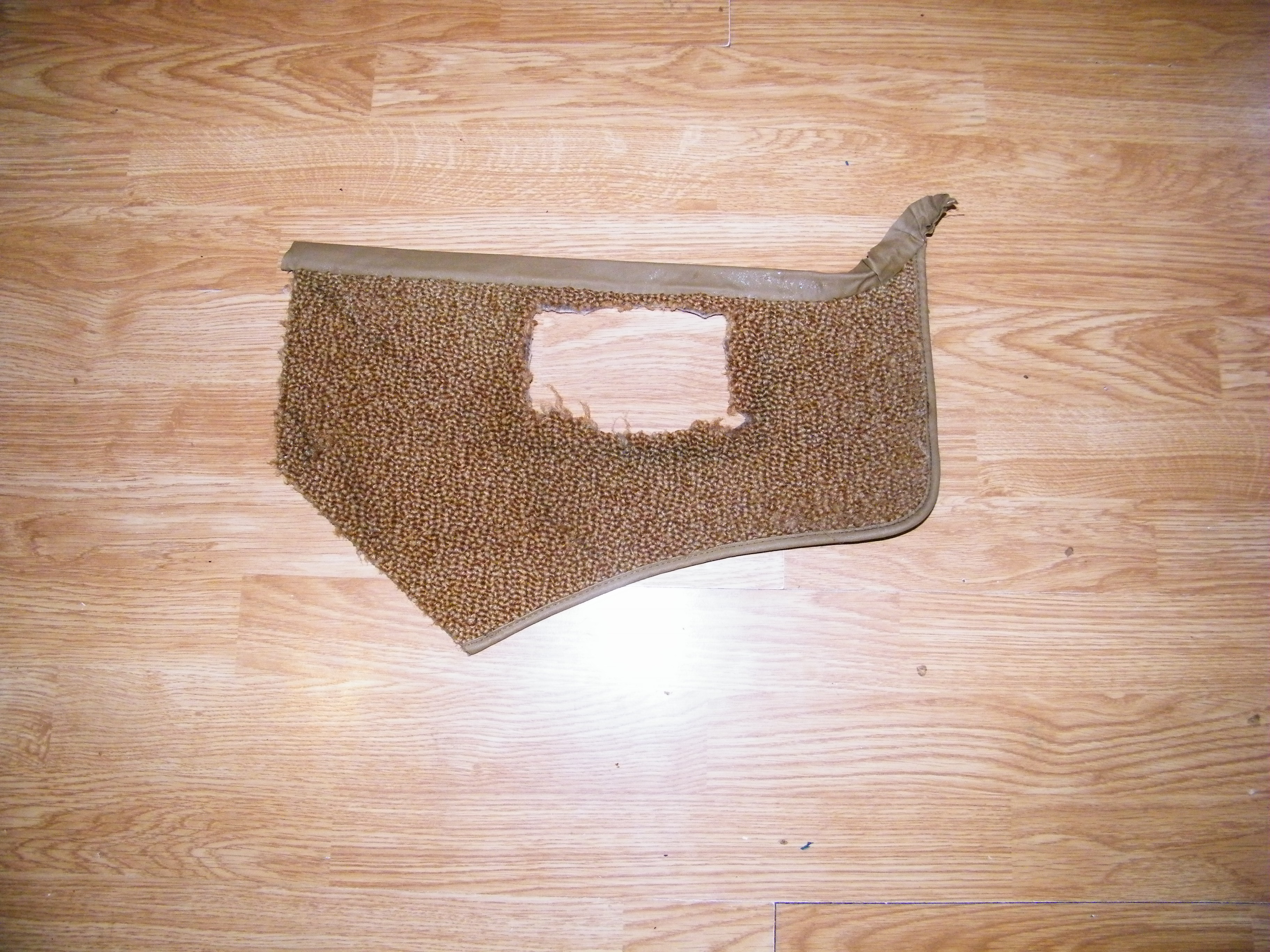 DSCF1424.JPG