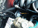 DSCF1527.JPG