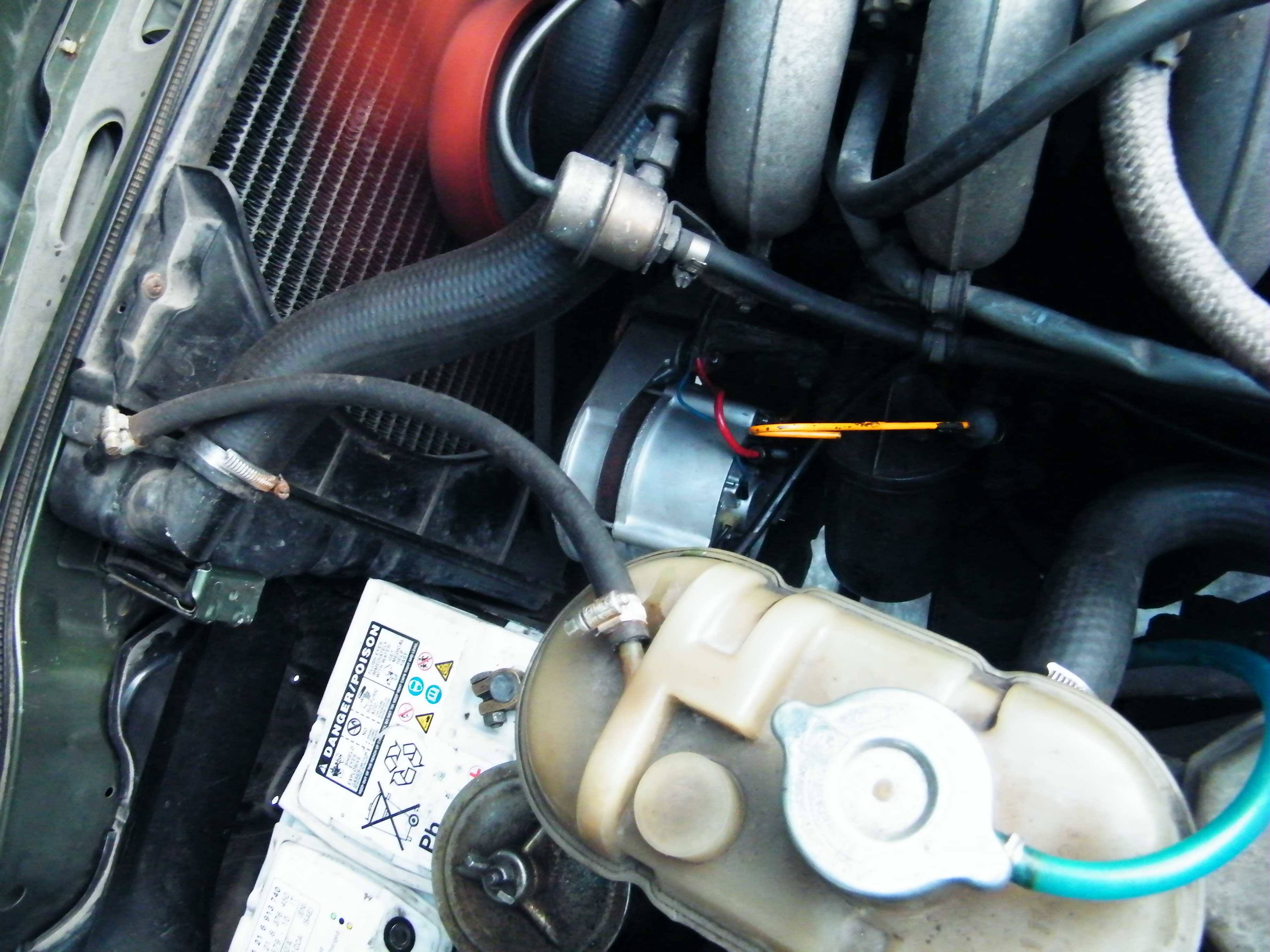 DSCF1528.JPG