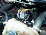 DSCF1529.JPG