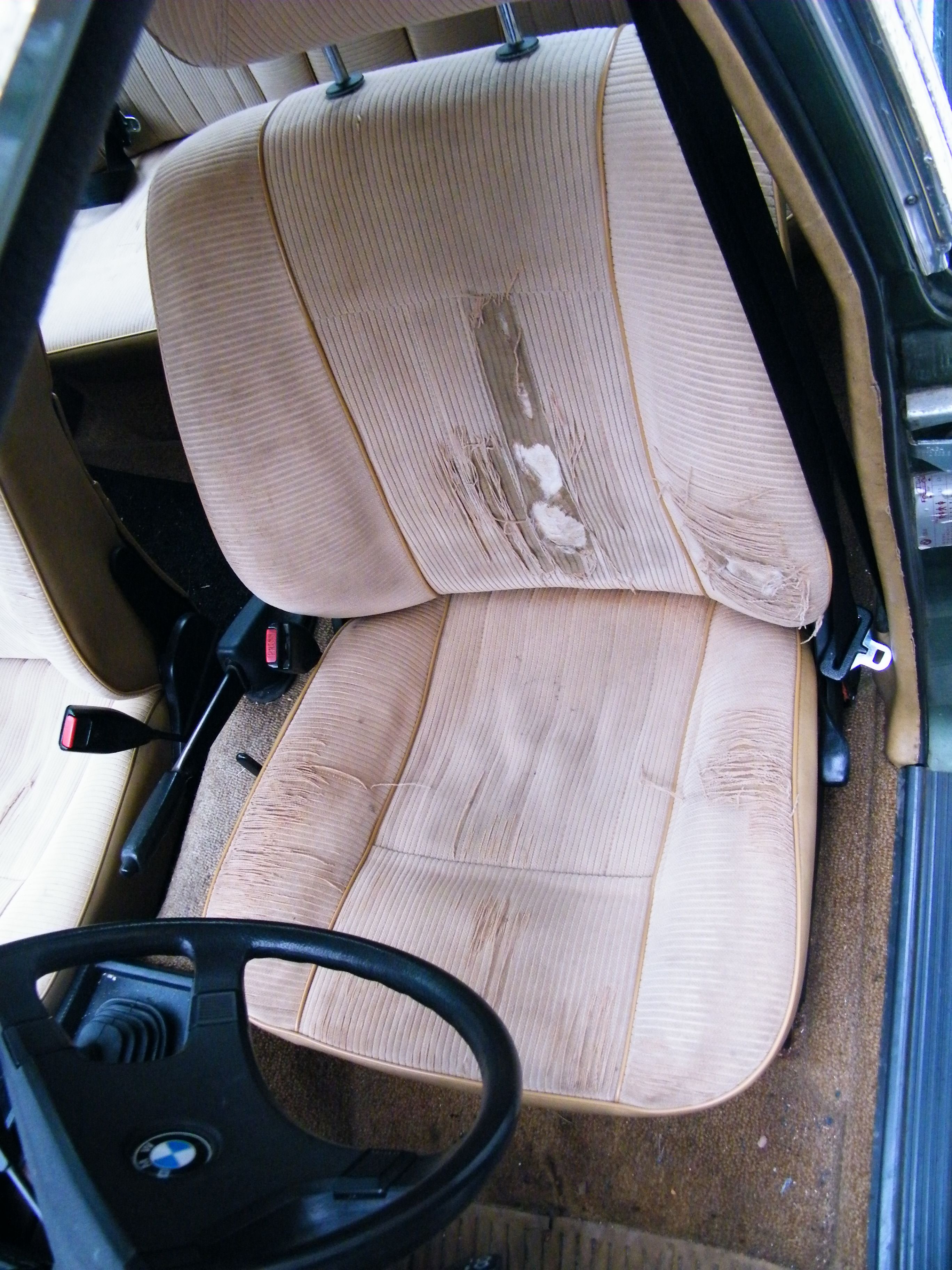 DSCF1637.JPG