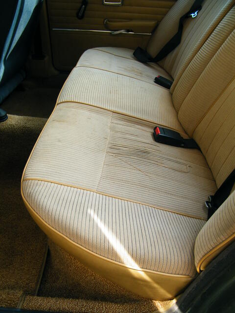 DSCF1939.JPG