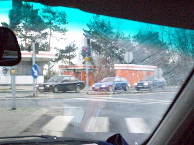 Picture 173 (Large)