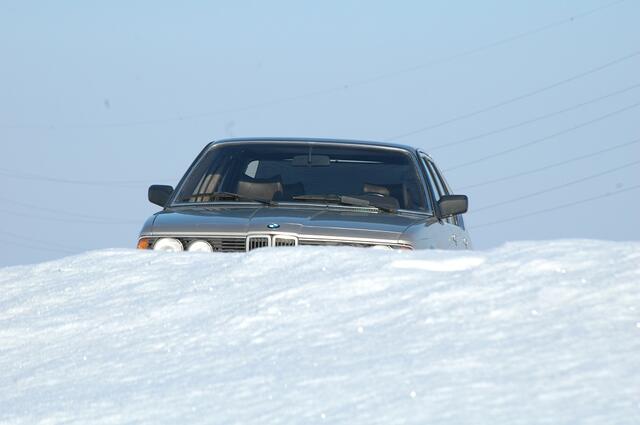 DSC_7736_1024.jpg