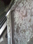 Pilt0106.jpg