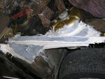 P6260004