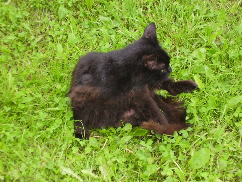P8070082