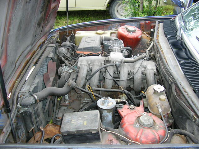 P7010001