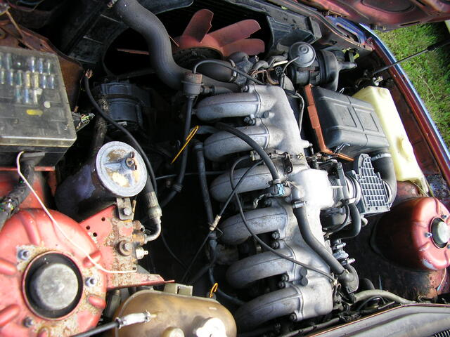 P7030003