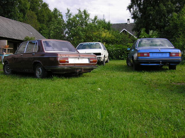 P7030007