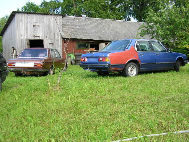 P7030008