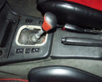 P3100005.jpg