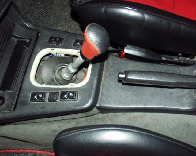 P3100005.jpg