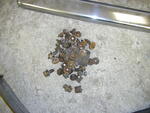 PC050002.JPG