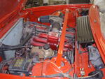 P9050020.JPG