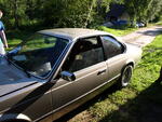 Picture 007.jpg