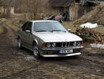 Picture 003