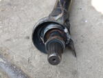 Picture 269.jpg