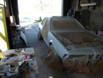 Picture 006