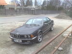 17042009099.jpg