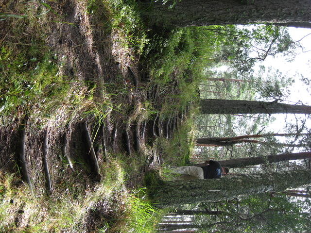 IMG_0376.jpg