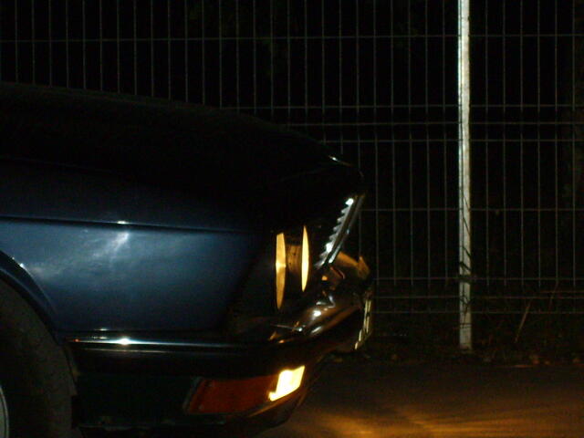 S6000336.JPG