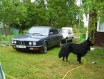 S6000337.JPG
