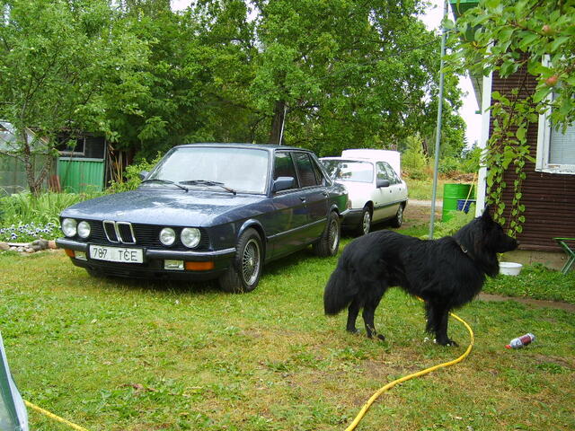 S6000337.JPG