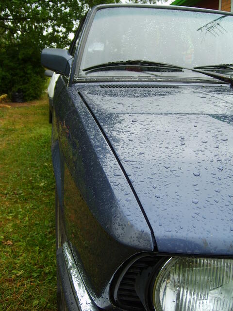 S6000339.JPG