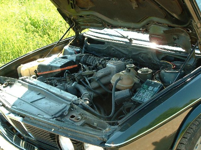 bmw6