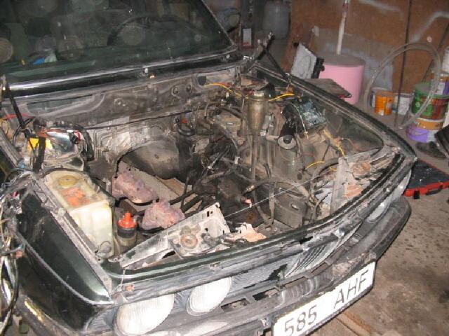 IMG 3722