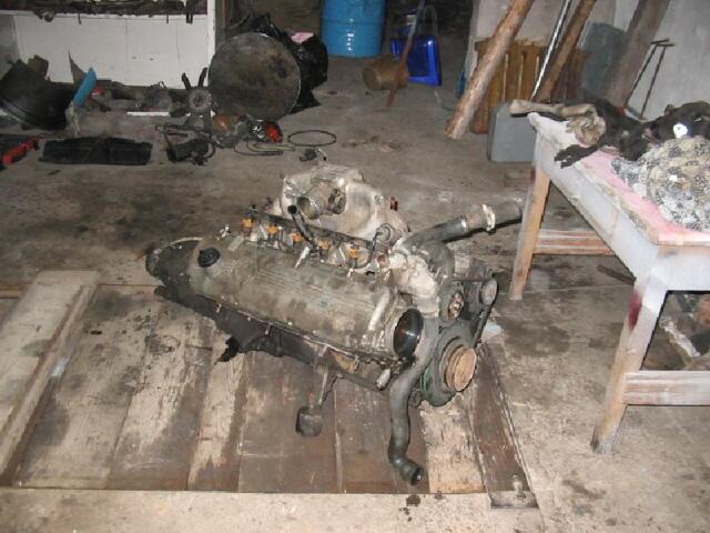 IMG 3724