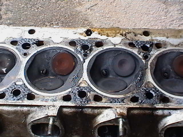 Imga0203