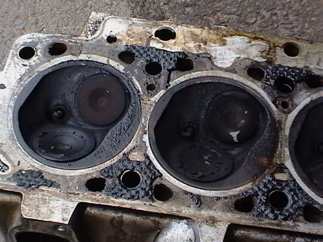 Imga0204