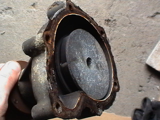Imga0211