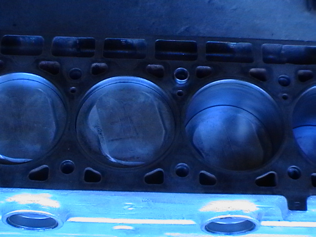 Imga0228