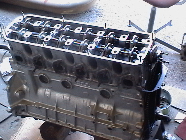 Imga0235