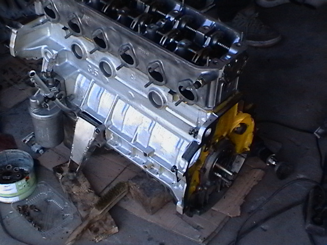 Imga0237