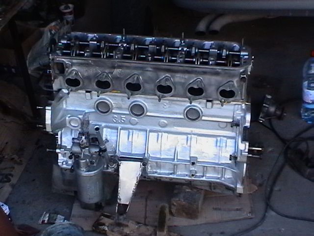 Imga0239