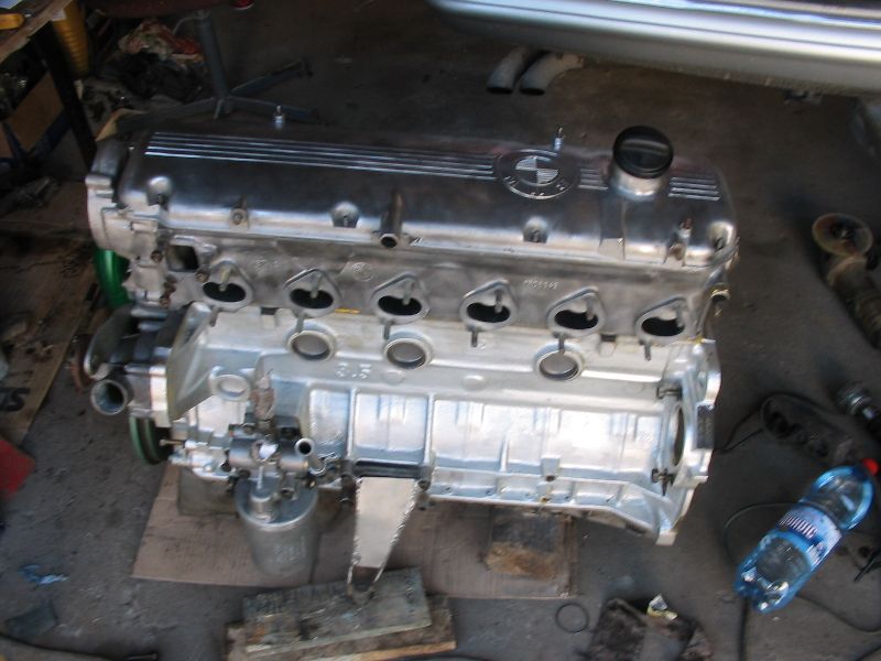 sImg 4295