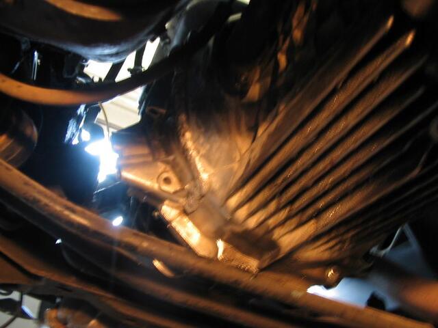 Img 4311