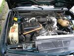 Img 4491