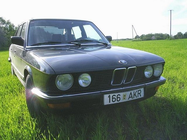 y19.jpg