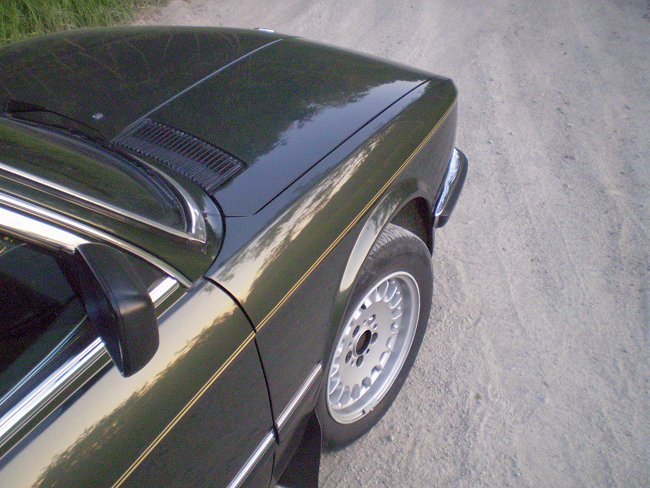 2007-10a.jpg