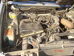 DSC06095.JPG