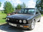 IMG 0537