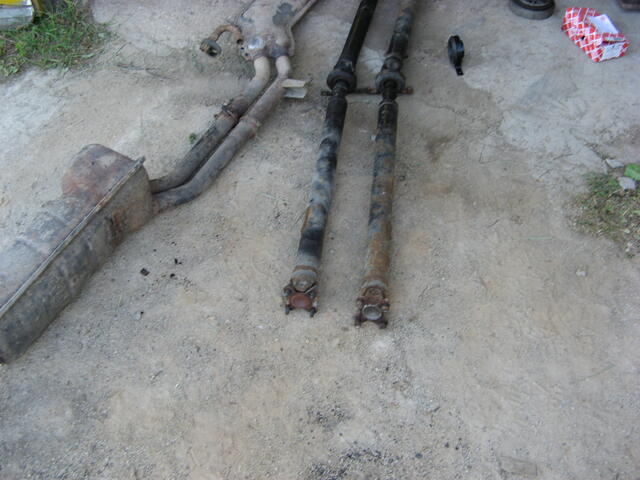 IMG 0542