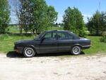 IMG 0523