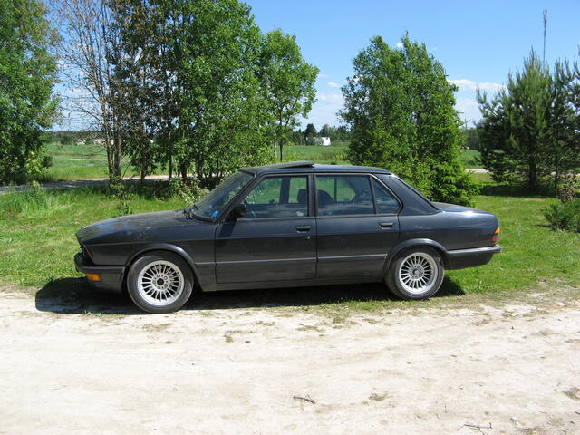IMG 0523
